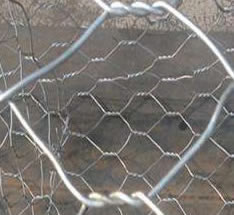 Gabion Mesh